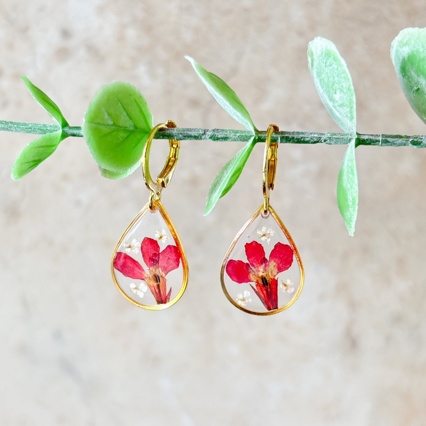 Red Lobelia Hoops